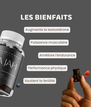 Gummies Shilajit - Najah Nutrition