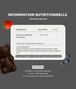 Gummies Shilajit - Najah Nutrition