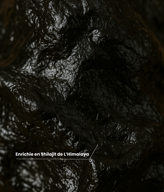 Gummies Shilajit - Najah Nutrition