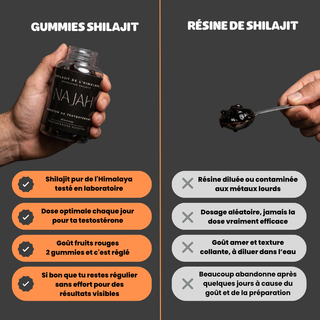 Gummies Shilajit